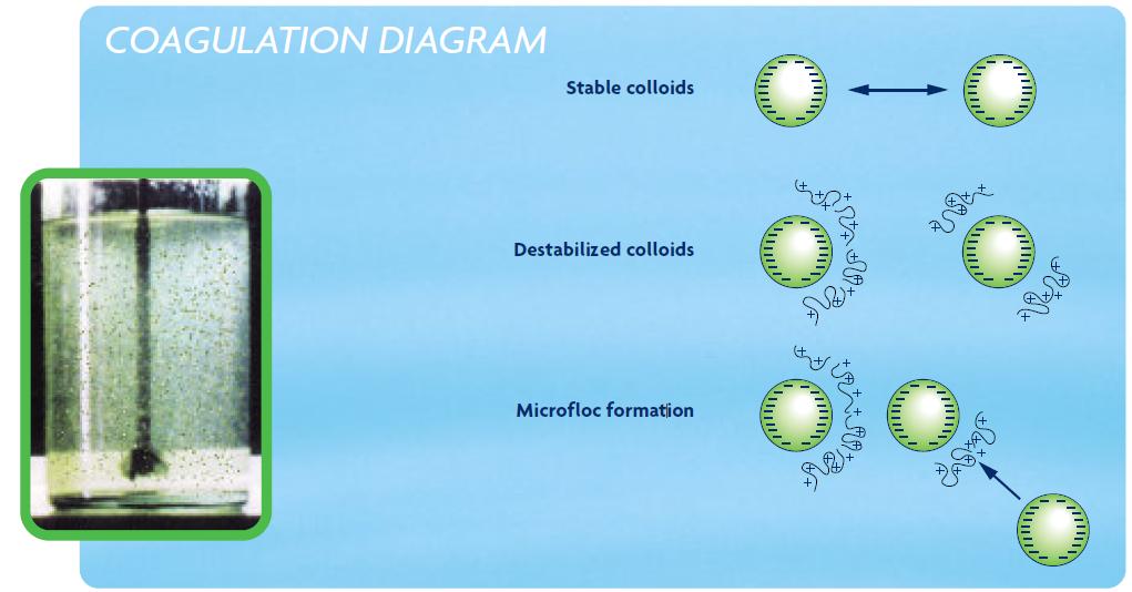 coagulation flocculation